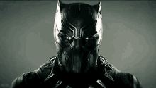 Black Panther GIF - Black Panther Marvel GIFs