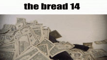The Bread 14 Cat GIF - The Bread 14 Cat GIFs