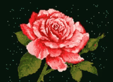 Love You Rose GIF