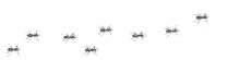Ants Marching GIF - Ants Marching Antmarch GIFs