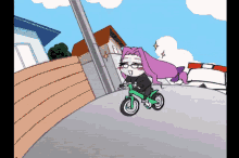 Rider Fate GIF - Rider Fate Bicycle GIFs