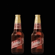 salud bohemia pilsner cerveza