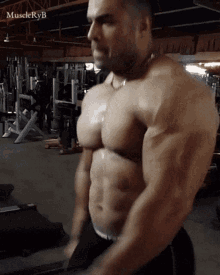 Workship Muscle GIF - Workship Muscle Bodybuilder GIFs