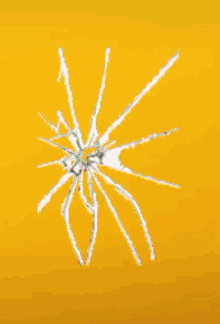 a drawing of a spider is against a yellow background