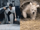 a picture of a man and a picture of a dog in a hole