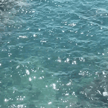 Water Sparkling GIF - Water Sparkling Wave GIFs