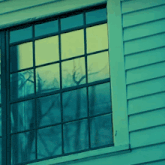 a window with a reflection of trees in the window