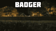 the word badger is on a dark background with trees in the background