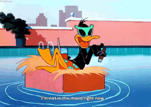Daffy Duck Im Not In The Mood Right Now GIF - Daffy Duck Im Not In The Mood Right Now Im Not In The Mood GIFs