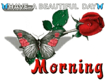 Good Morning Wishing GIF - Good Morning Wishing Butterfly GIFs