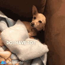 Lazy Couch GIF