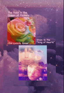 David Cassidy Kingof Hearts GIF - David Cassidy Kingof Hearts The Cassidy Rose GIFs