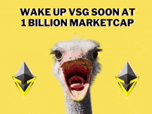a picture of an ostrich with its mouth open and the words wake up vsg soon at 1 billion marketcap
