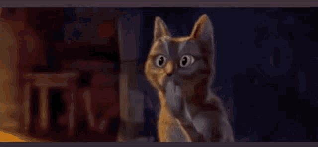 Ohhh Really GIF - Ohhh Really Cat - Discover & Share GIFs