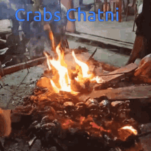 Crabs Chatni GIF - Crabs Chatni GIFs