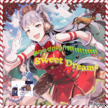 a picture of a girl with a horse and the words sweet dreams on it