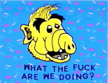 What The Fuck Are We Doing Fish GIF - What The Fuck Are We Doing Fish GIFs