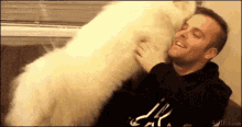 Dog Samoyed GIF - Dog Samoyed Love GIFs