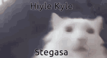 Hi Kyle GIF - Hi Kyle Steg GIFs