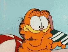 Garfield Se Pone Los Lentes GIF - Lentes De Sol Gafas Gafas De Sol GIFs