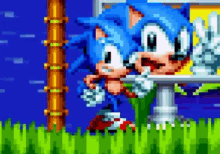 Sonic Sonic Poses GIF