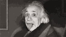 Einstein GIF - Einstein GIFs