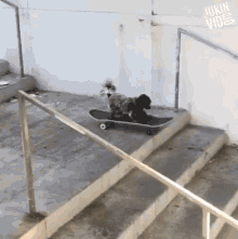 Skateboarding Dog Dog Trick GIF - Skateboarding Dog Dog Trick Animal Tricks GIFs