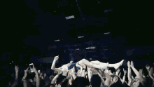 Crowd Surfing Concert GIF