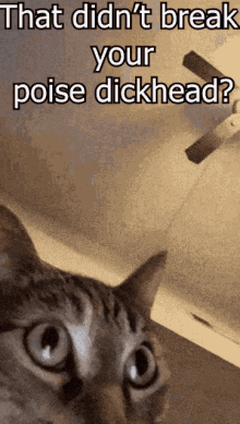 Crazy Cat Poise GIF - Crazy Cat Poise Gamer GIFs