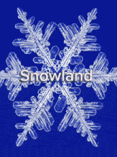 Snowland GIF - Snowland GIFs