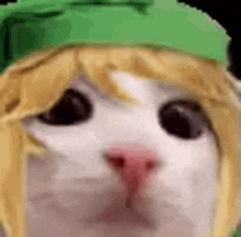 Link Cat GIF - Link Cat GIFs