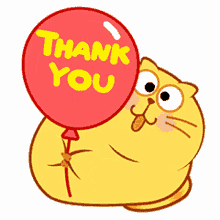 cat thank you fat chubby kitty