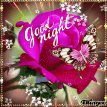 Good Night Butterfly GIF - Good Night Butterfly Rose GIFs
