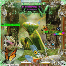 Praying Mantis Picmix GIF - Praying Mantis Picmix Insect GIFs
