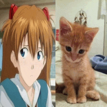 a picture of an anime girl next to a picture of a kitten