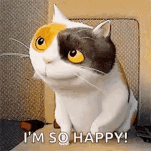 Happy Cat GIF - Happy Cat Dance GIFs