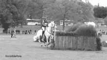 Jumping 5 GIF - Horse Racing Horses GIFs