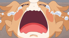 Wonderful Precure Komugi Crying GIF - Wonderful Precure Komugi Crying Wonderful Precure Komugi GIFs
