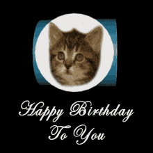 Happy Birthday To You Singing Birthday Kittens GIF