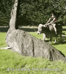 a person is riding on the back of a cow in a grassy field .