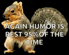 Squirrel Funny GIF - Squirrel Funny Dance GIFs