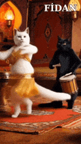 a black cat is playing a drum and a white cat is dancing in front of a sign that says fidan