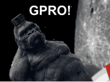 Go Pro Gpro GIF - Go Pro Gpro Gorilla To The Moon GIFs
