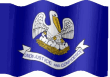Luisiana Flag GIF