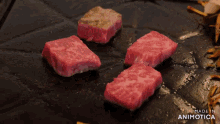 a steak is being cooked on a grill and the words made in animotica are visible
