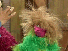 muppetwiki muppet wiki prairie dawn hair bad hair day