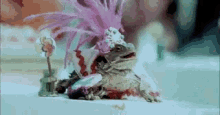 How I Feel After My Gf Puts Makeup On Me "For Fun" GIF - Frog Fabulous GIFs