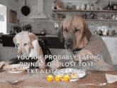 Funny Animals Dogs Eating Dinner GIF - Funny Animals Dogs Eating Dinner Formal Dinner GIFs
