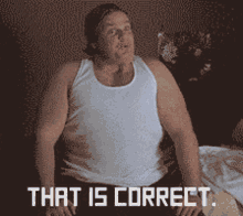 That Is Correct Billy Madison GIF - That Is Correct Billy Madison Chris Farley GIFs