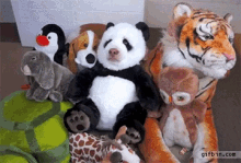 Funny Animals Pandas GIF - Funny Animals Pandas Dogs GIFs